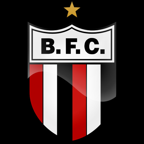 Botafogo-SP